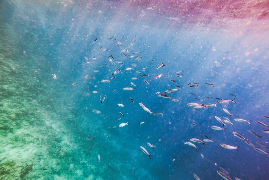 Strand Serenity Alpha Beach