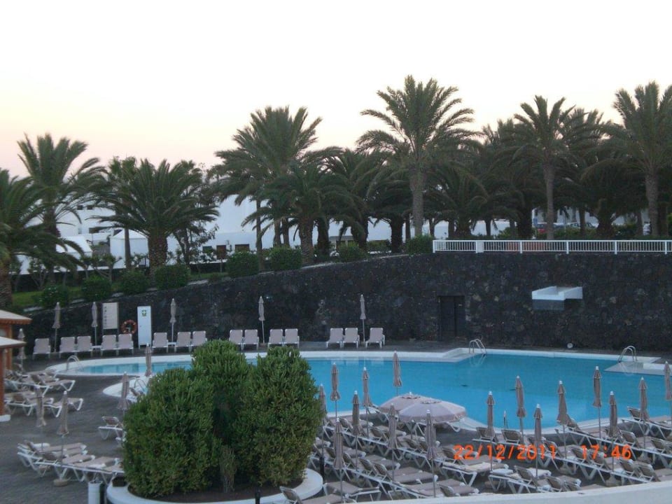 Ausblick von Zimmer 1239 Relaxia Olivina