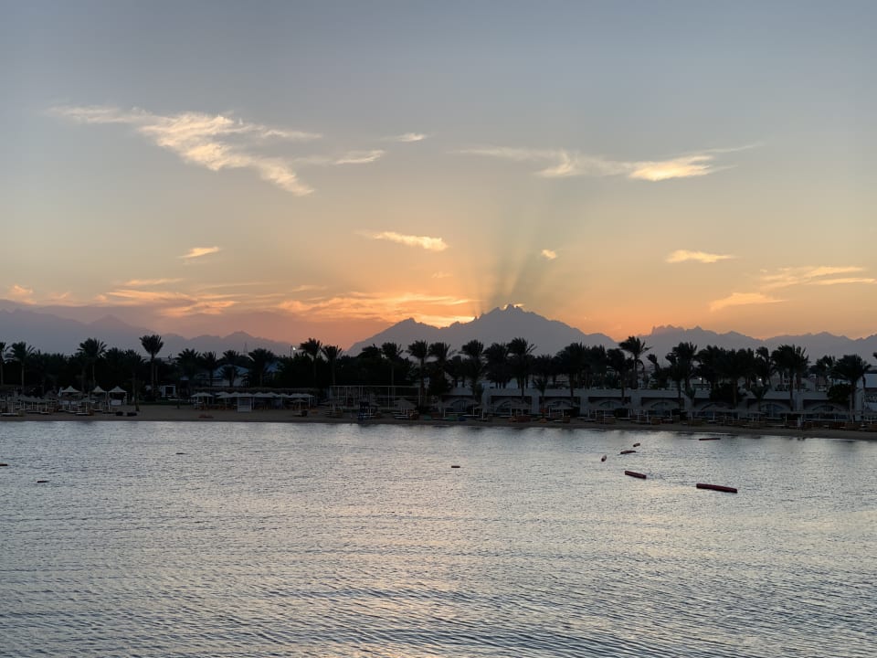 Ausblick Desert Rose