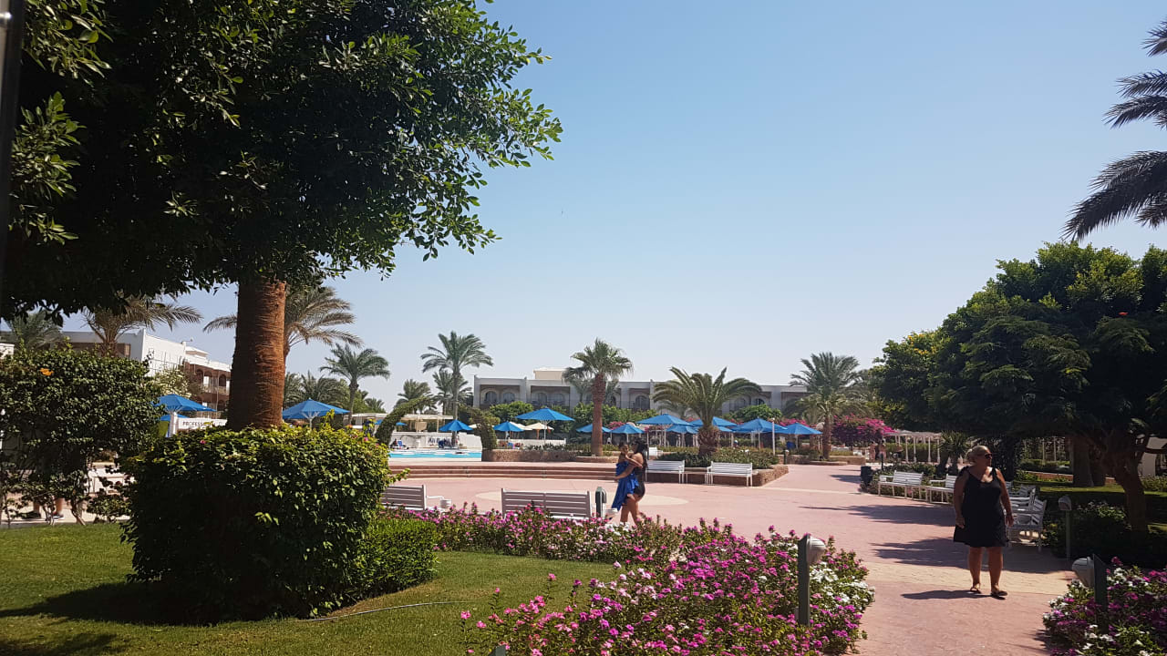 Gartenanlage Desert Rose