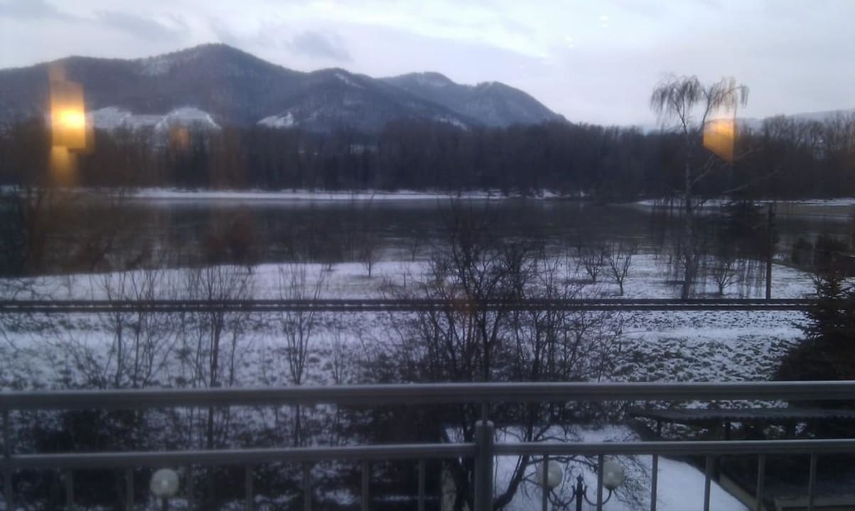 Morgendlicher Ausblick auf die Donau Gartenhotel Pfeffel