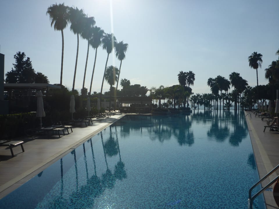 Pool Acanthus Cennet Barut Collection