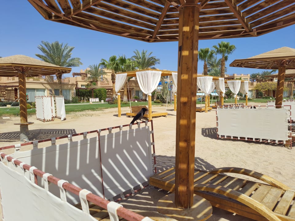 Strand Shams Prestige Abu Soma-Adults Only