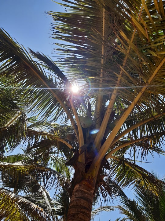 Strand Goldi Sands Hotel