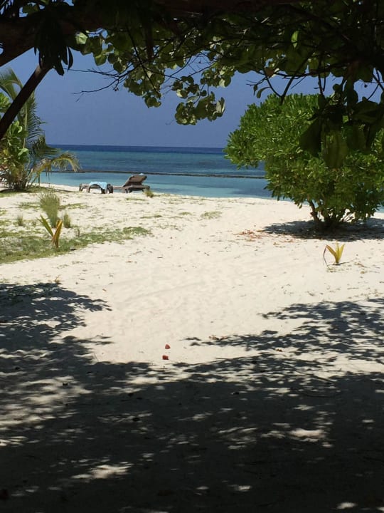 Ausblick von unserer Terrasse Kuredu Island Resort & Spa