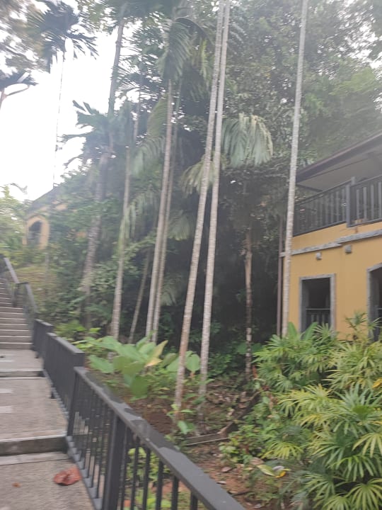 Gartenanlage Moracea by Khao Lak Resort