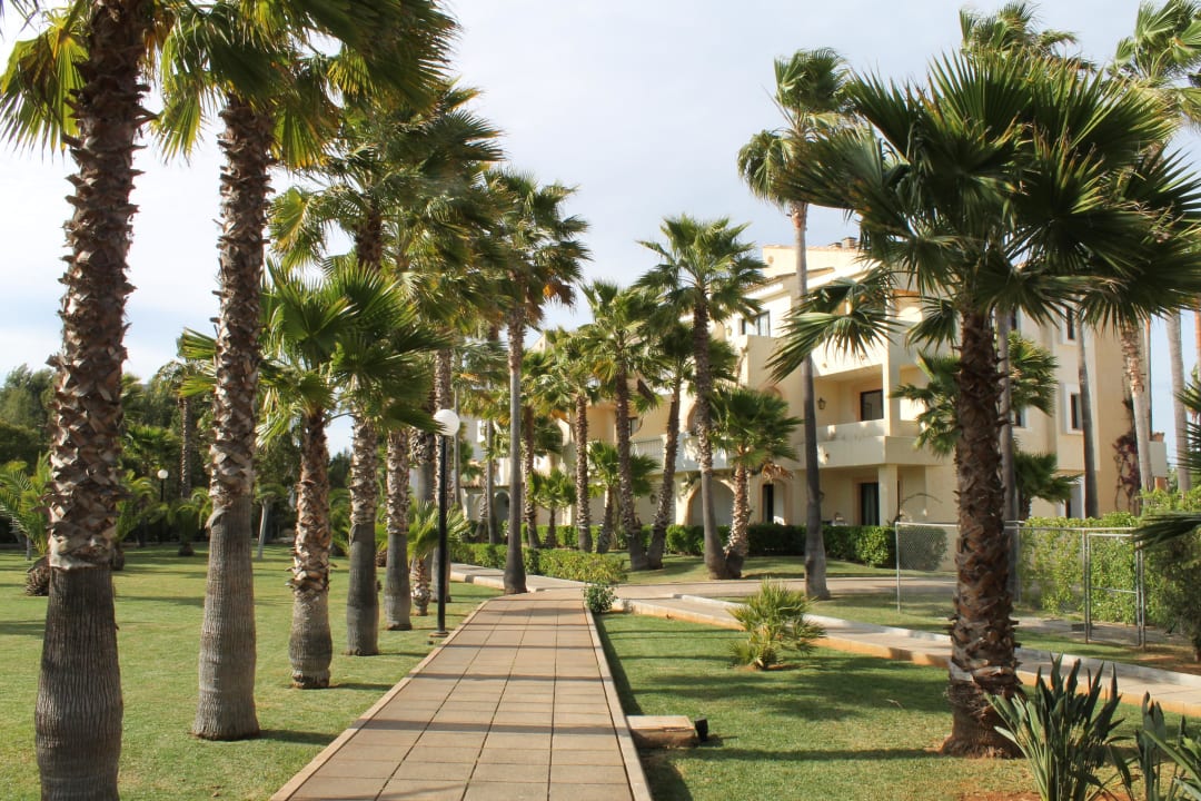 Schöne Gartenanlage mit Blick auf das Hotel Hipotels Mediterraneo Club