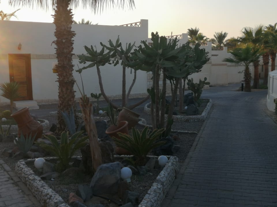 Ausblick Coral Beach Hurghada
