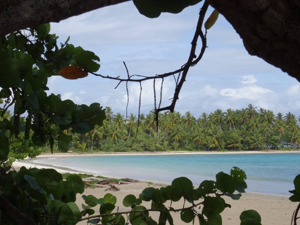 Grand Bahia Principe El Portillo Bahia Principe Grand El Portillo