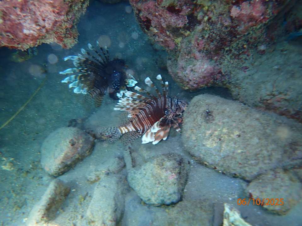 Strand Ghazala Beach
