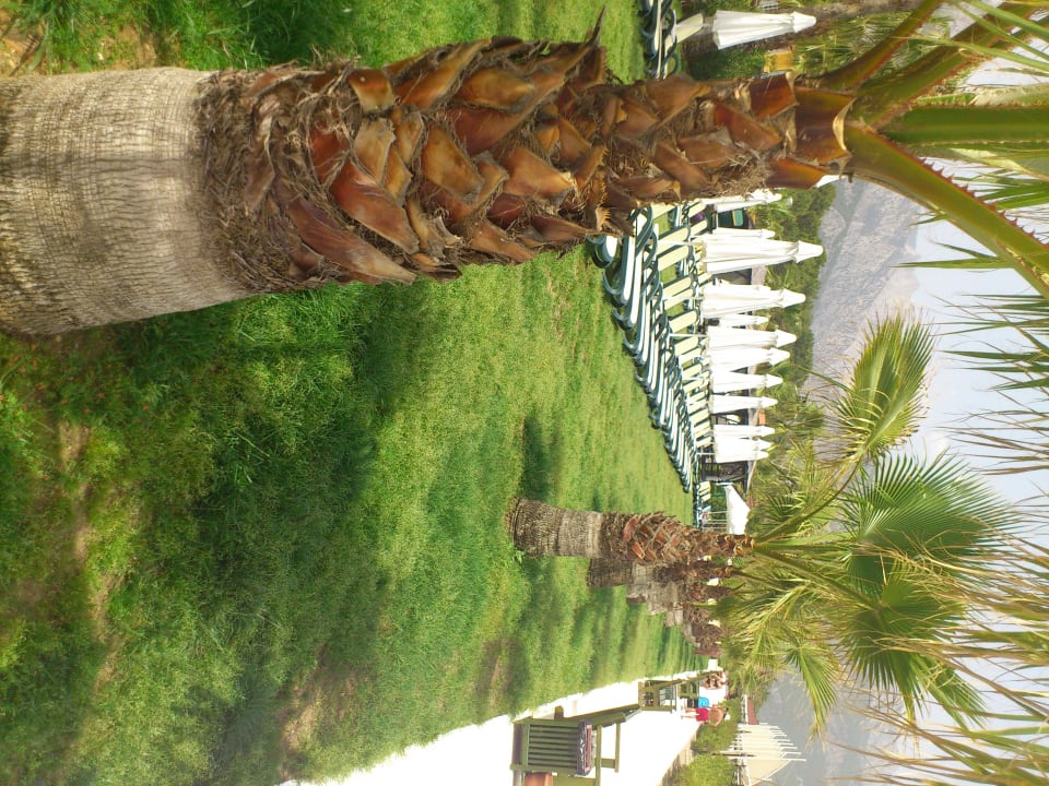 Schöne Gartenanlage direkt am Strand Crystal Flora Beach Resort