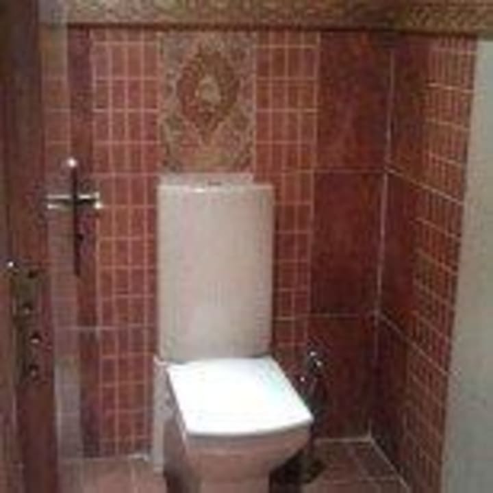 Toilette im Lobbybereich Pickalbatros Palace Resort