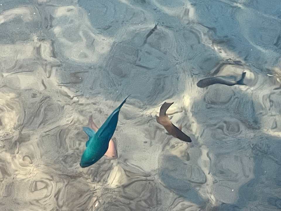 Strand Adaaran Select Meedhupparu Island Resort - Premium All Inclusive