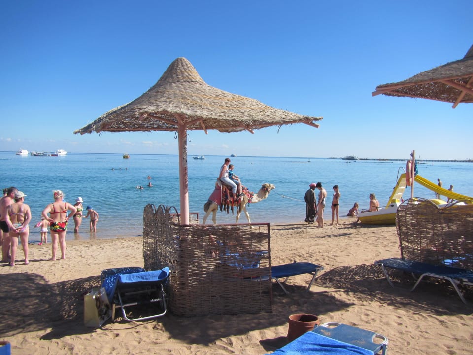 На пляже Jaz Makadi Oasis Resort