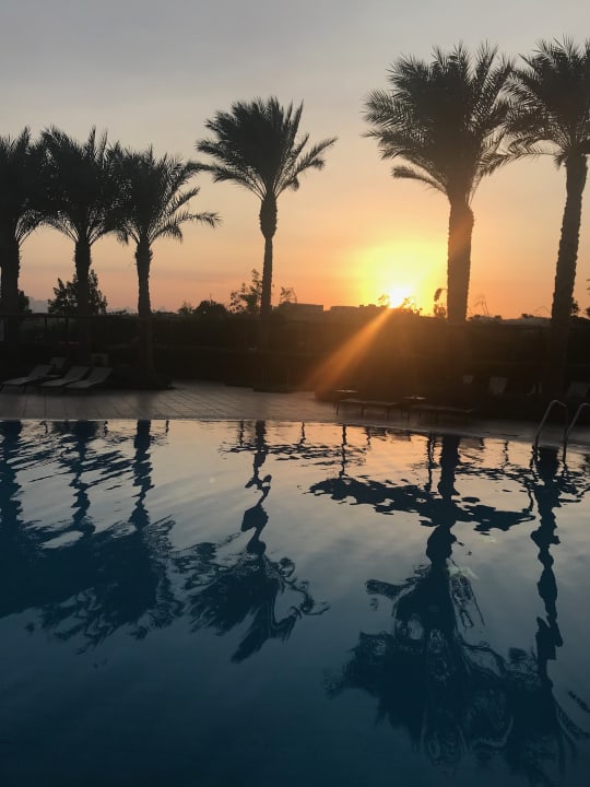 Pool JAZ Neo Saraya Palms