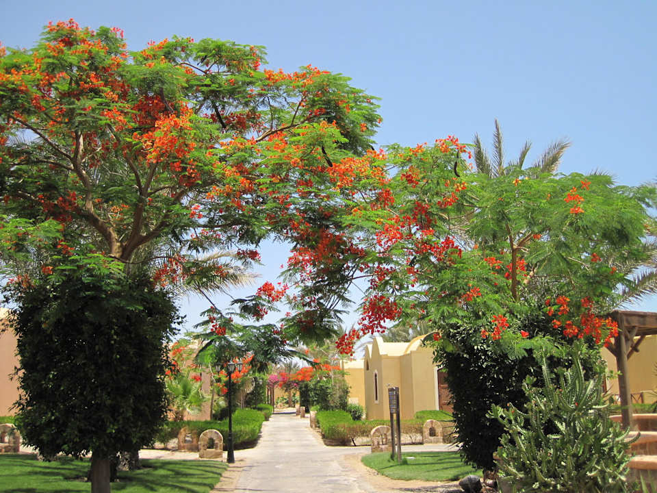 Hotelanlage Radisson Blu Resort, El Quseir