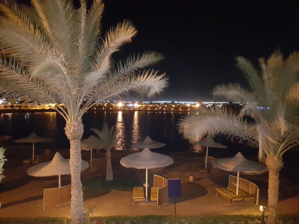 Ausblick Desert Rose