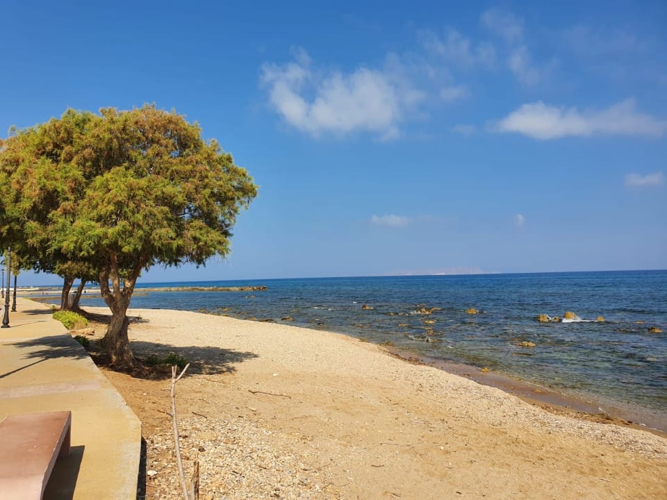 Strand TUI BLUE Insula Alba