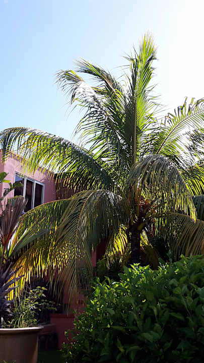 Gartenanlage Guesthouse Bellevue