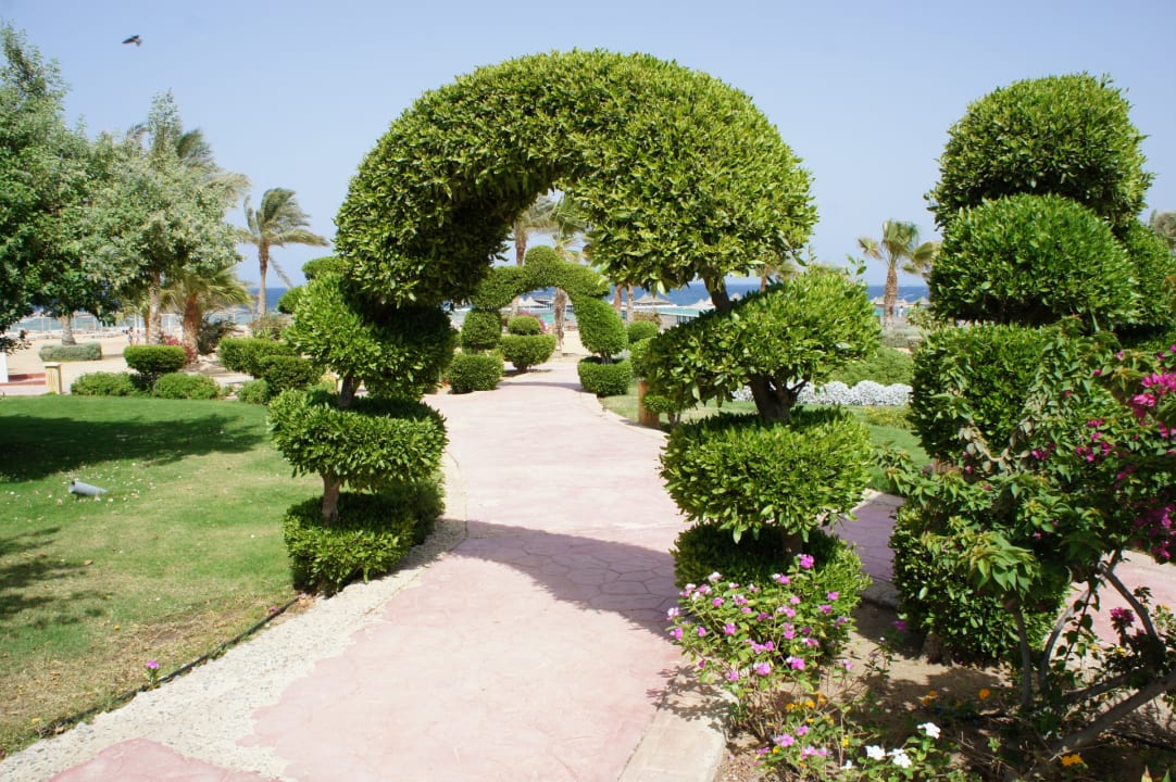 Gartenanlage Wadi Lahmy Azur Resort