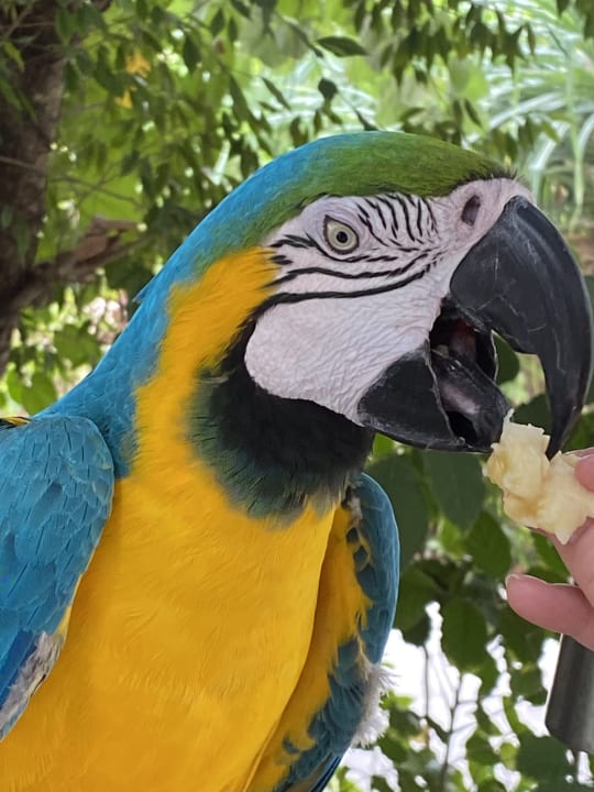 Sonstiges Dhigufaru Island Resort