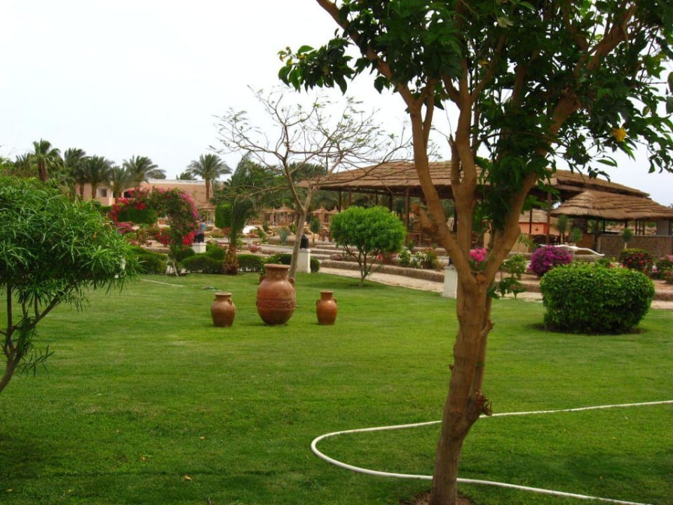 Anlage Beach Albatros Resort
