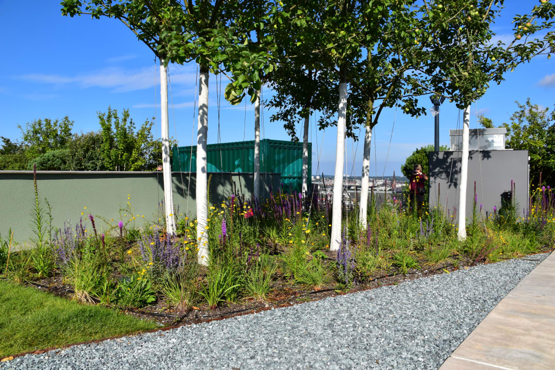 Gartenanlage REVERB by Hard Rock Hamburg