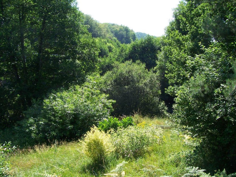 Jardin Hotel Le Pont Du Laurent