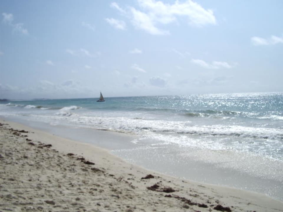 Strandbild Hotel Southern Palms Beach Resort