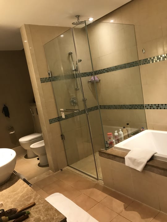 Zimmer Fairmont The Palm