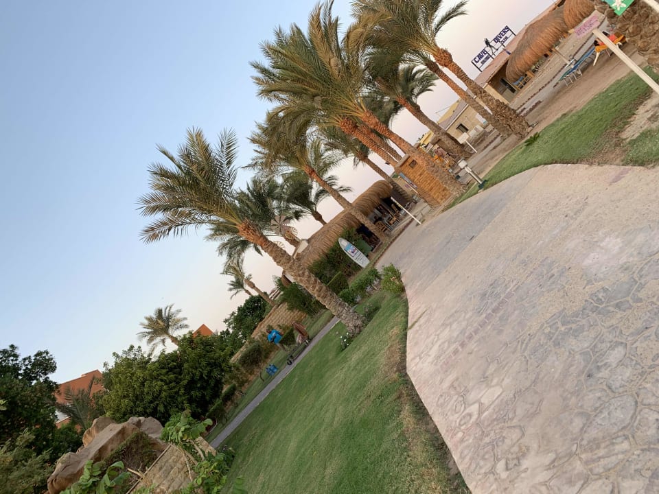 Garten Sentido Caribbean World Soma Bay
