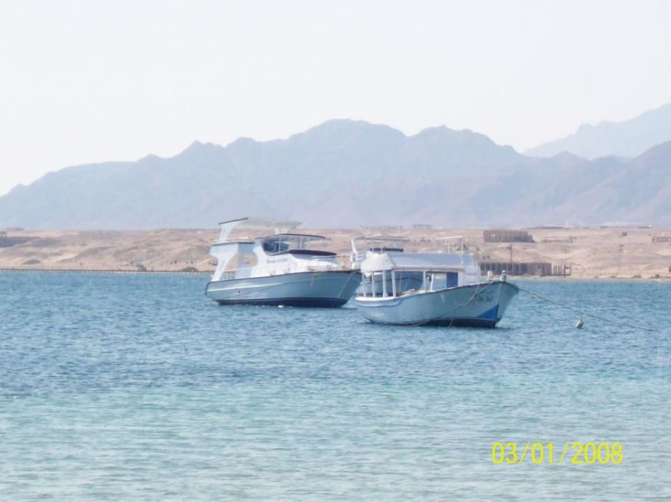 Schiffe Eagles Paradise Abu Soma