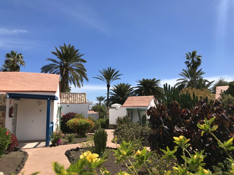 Gartenanlage Aldiana Club Fuerteventura