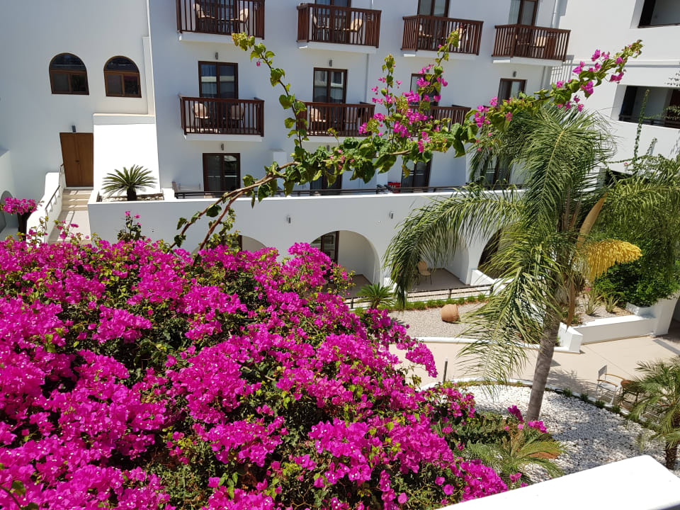 Gartenanlage TUI BLUE Oceanis Beach and Spa Resort