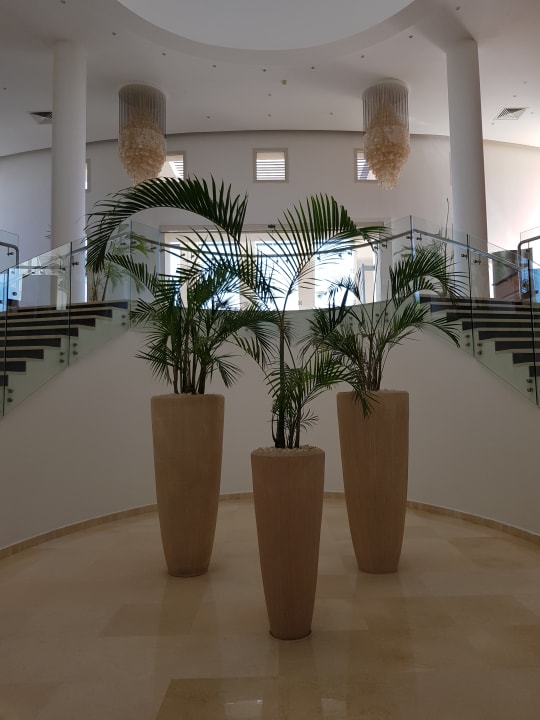 Lobby Steigenberger Makadi Hotel - Adults only