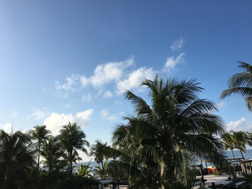 Ausblick Akumal Bay Beach & Wellness Resort