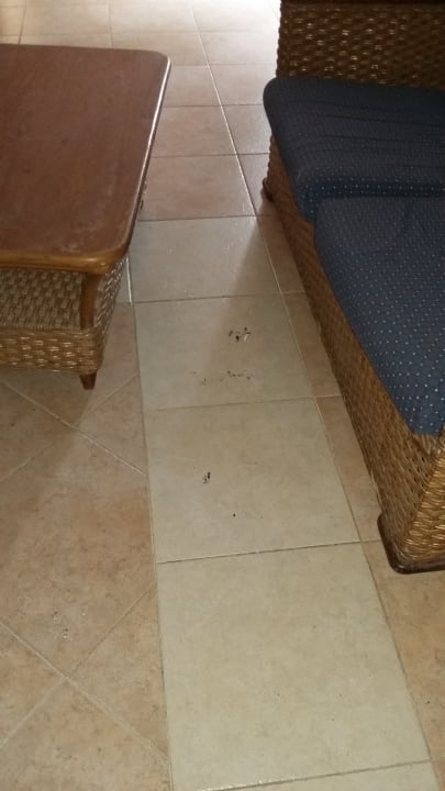 Zimmer Punta Cana Princess All Suites Resort & Spa