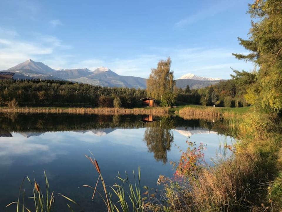 Gartenanlage Hotel Flötscherhof