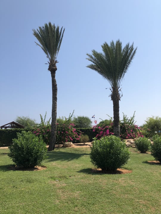 Gartenanlage Asterias Beach