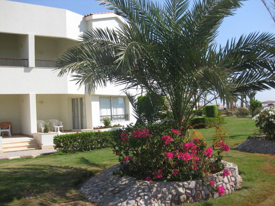 Gartenanlage Pickalbatros Dana Beach Resort - Hurghada