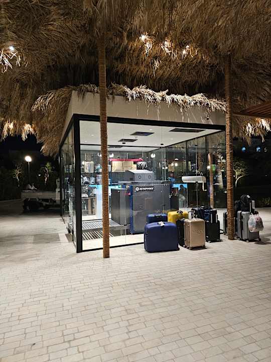 Sonstiges Desert Rose