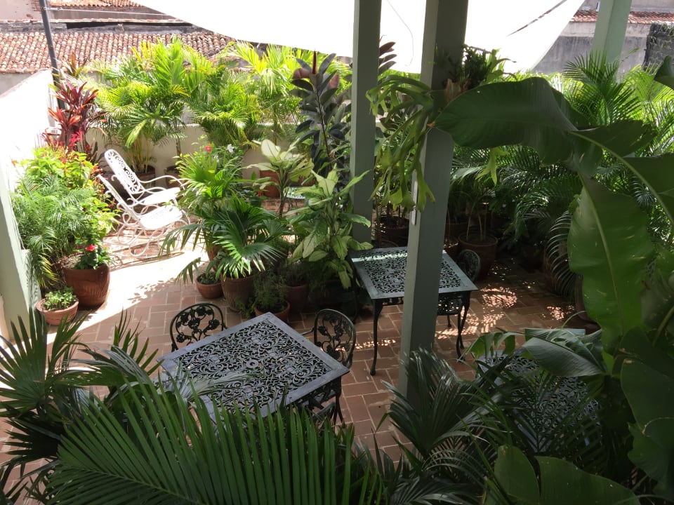 Gartenanlage Suite Florencia