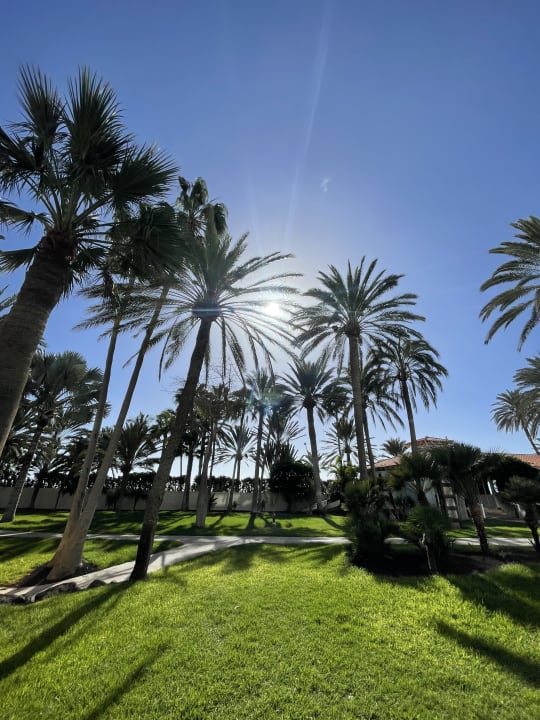 Gartenanlage ROBINSON JANDIA PLAYA