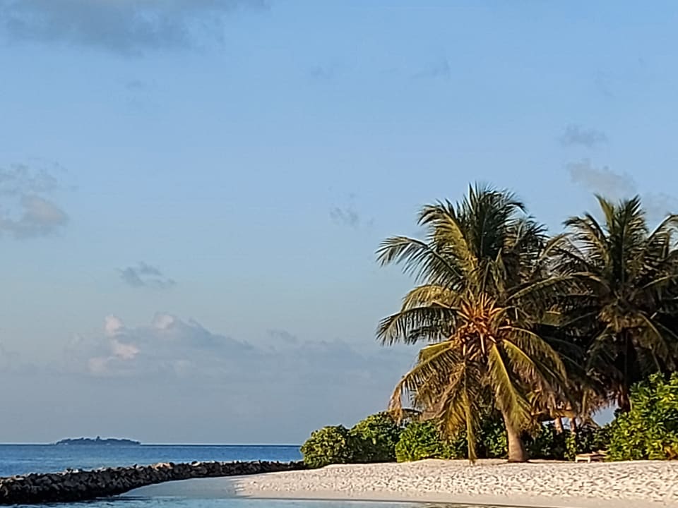Ausblick Summer Island Maldives