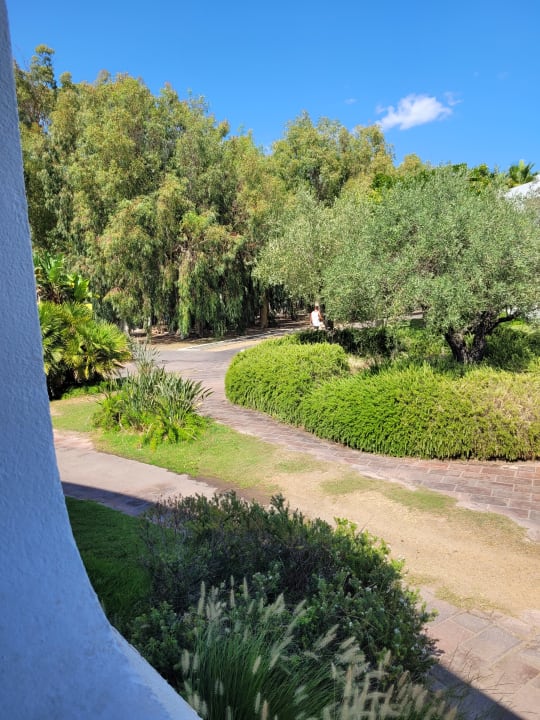 Gartenanlage Hotel Flamingo Resort