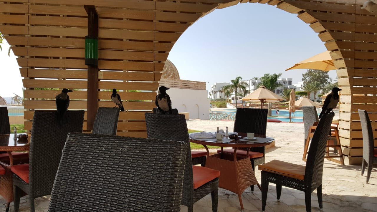 Zum Frühstück Hotel Mercure Hurghada