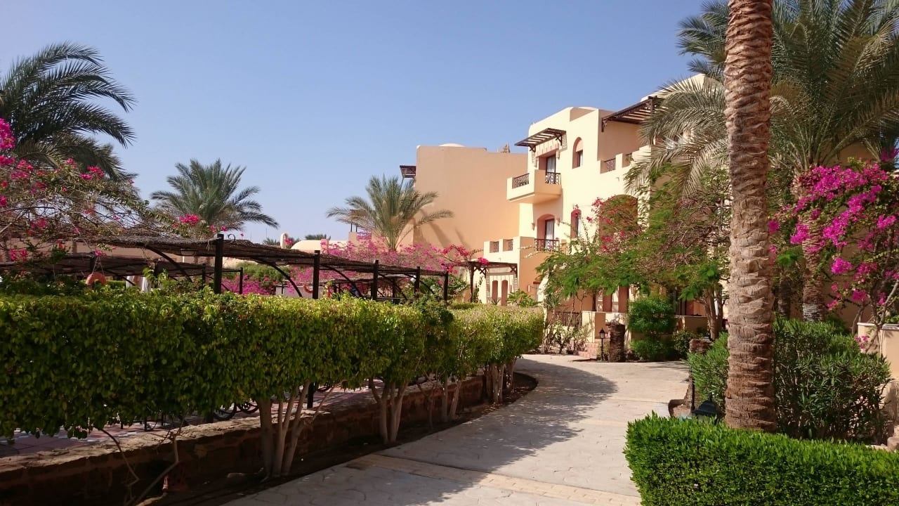 Links einer der Pools Steigenberger Coraya Beach - Adults only