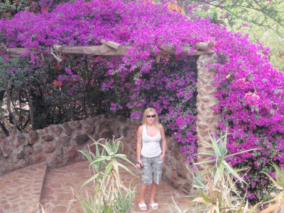 Amboseli sopa logge ogrod Hotel Amboseli Sopa Lodge