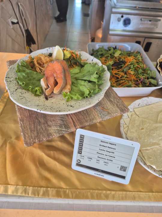 Gastro Seashell Vega