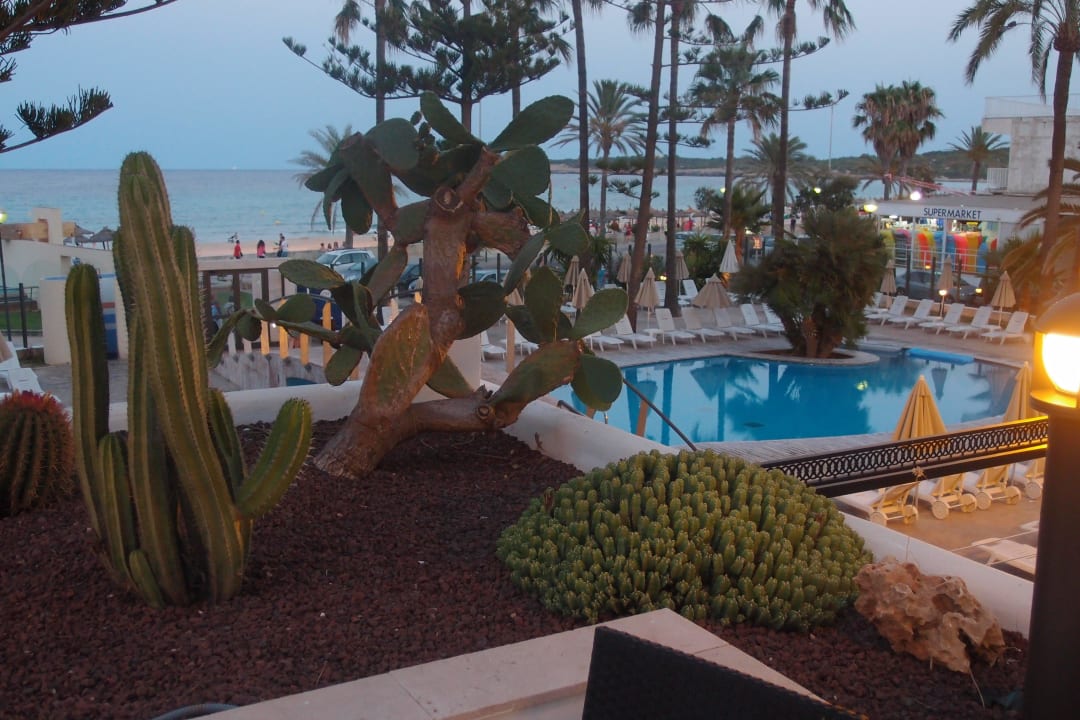 Abend CM Playa del Moro